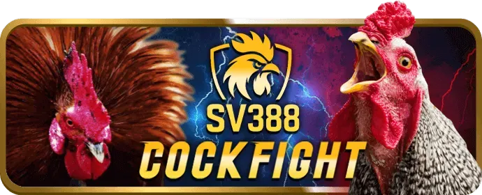 Các chương trình thưởng đặc biệt